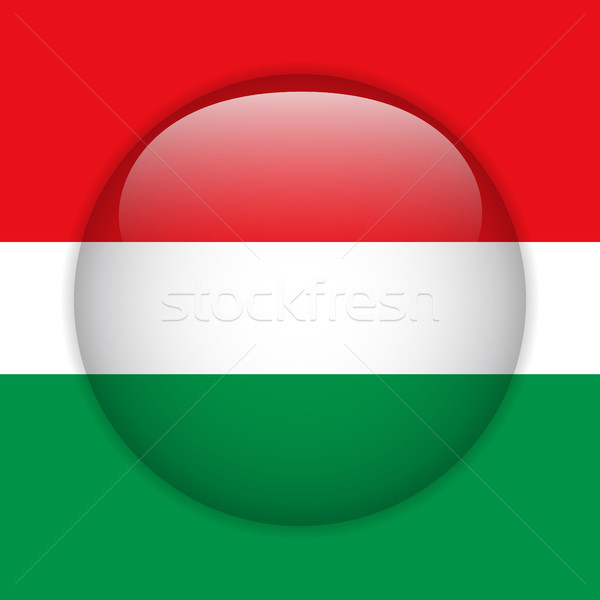 Ungheria bandiera lucido pulsante vettore vetro Foto d'archivio © gubh83