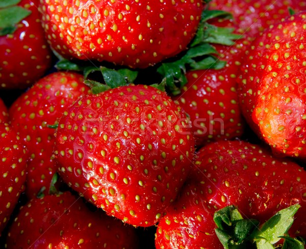 Strawberry Stock photo © Gudella