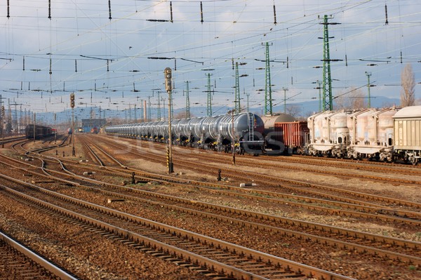 Complex feroviar urmări metal tren Imagine de stoc © Gudella