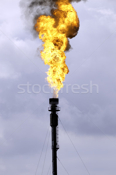 industry and pollution Stock photo © guffoto