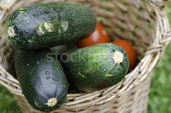 zucchini Stock photo © guffoto