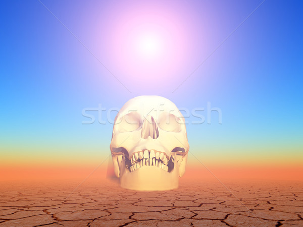 Apocalips ilustrare incalzirea globala deşert craniu poluare Imagine de stoc © guffoto