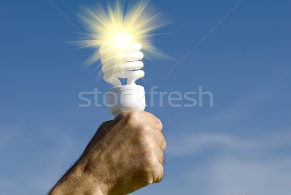 light Stock photo © guffoto