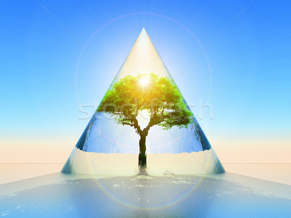 Stock photo: Protected tree