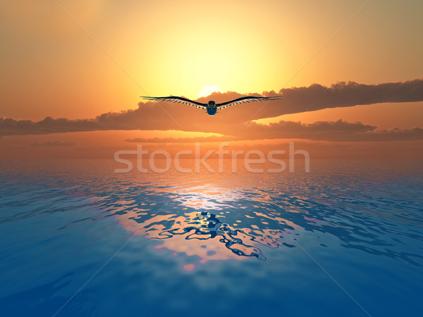 Colombe battant mer coucher du soleil ciel soleil [[stock_photo]] © guffoto