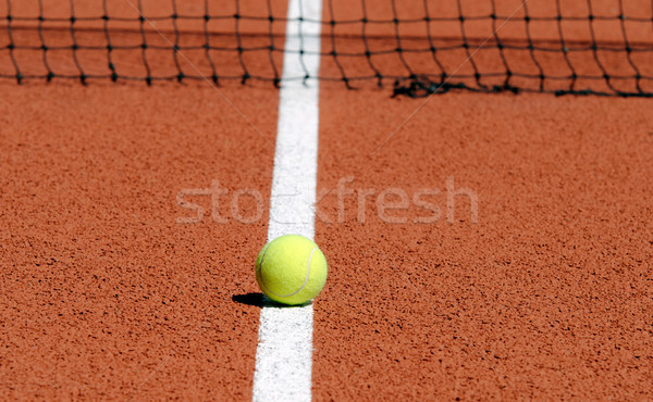 Tenis piłka tenisowa kort tenisowy sportu piłka biały Zdjęcia stock © guffoto