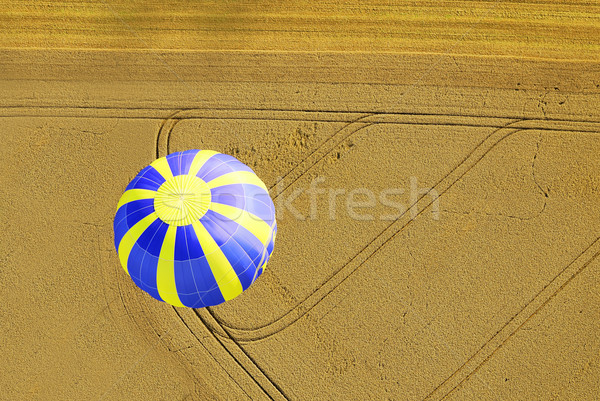 ホット 空気 風船 熱気球 飛行 小麦 ストックフォト © guffoto