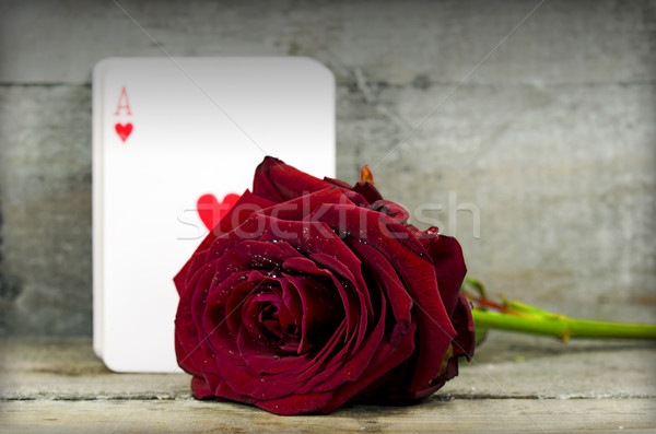 rose and ace Stock photo © guffoto