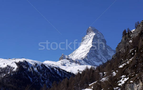 mountain Stock photo © guffoto