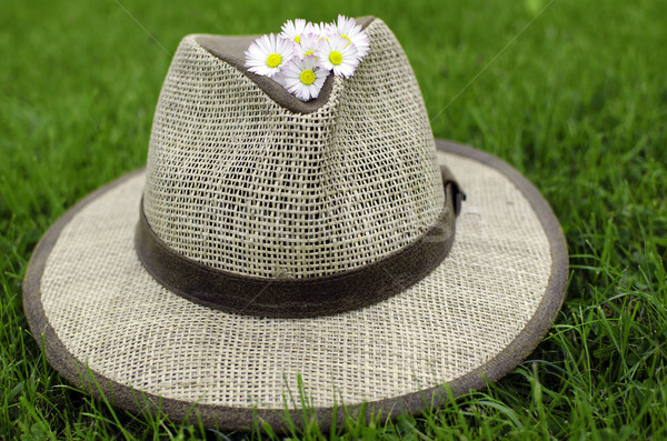 Stok fotoğraf: Hasır · şapka · kapalı · çiçekler · doğa · yaz · yeşil