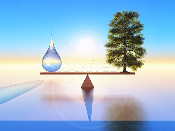 природы равновесие падение воды дерево сбалансированный Сток-фото © guffoto