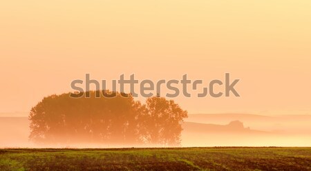 daybreak Stock photo © guffoto