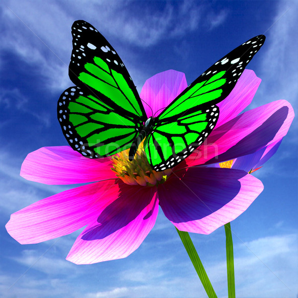 ストックフォト: 美しい · 花 · 蝶 · 空 · 春 · 草