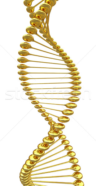 Dna Struktur Modell weiß Technologie Wissenschaft Stock foto © Guru3D