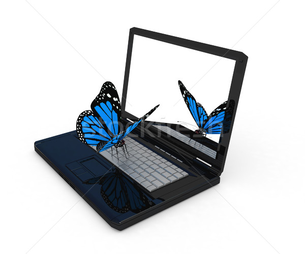 butterfly on a notebook Stock photo © Guru3D