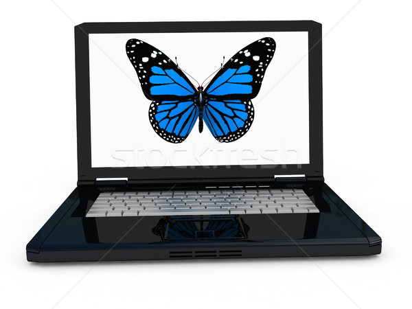 butterfly on a notebook Stock photo © Guru3D