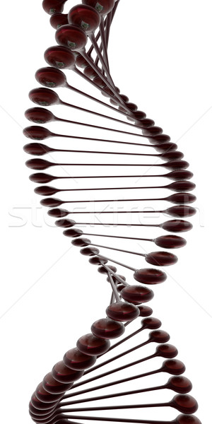 DNA structure model  Stock photo © Guru3D