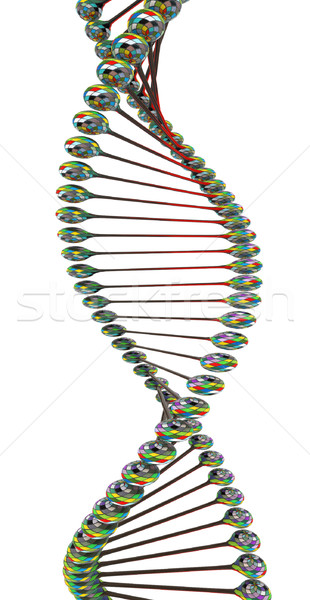 Zdjęcia stock: DNA · struktury · model · biały · technologii · nauki