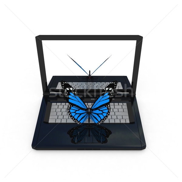 butterfly on a notebook Stock photo © Guru3D