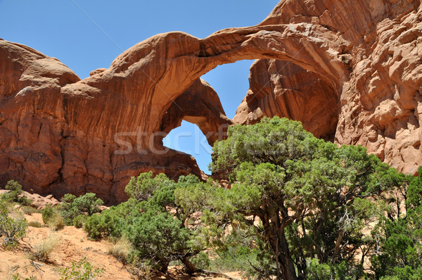 Double Arch - Arches National Park Stock photo © gwhitton