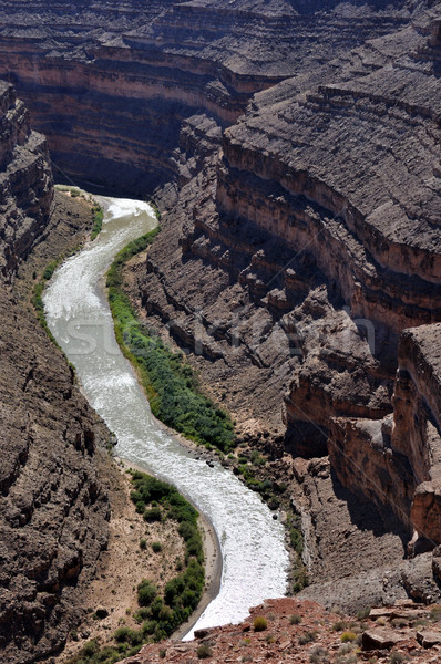 Goosenecks of the San Juan River Stock photo © gwhitton