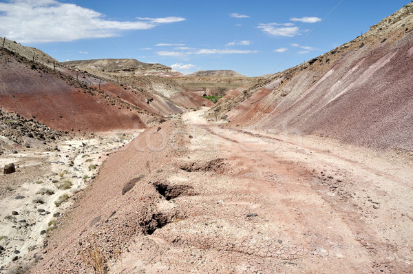 Bentonite Hills near Capitol Reef National Park Stock photo © gwhitton