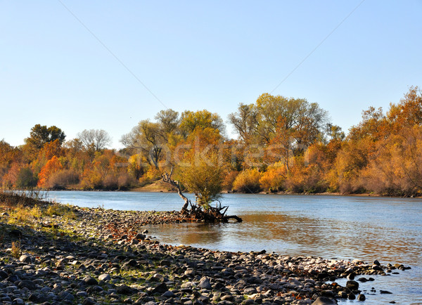 реке осень воды природы деревья синий Сток-фото © gwhitton