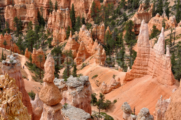 каньон деревья лет путешествия рок красный Сток-фото © gwhitton