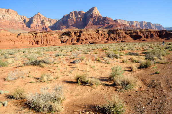 пейзаж пустыне горные рок красный Сток-фото © gwhitton