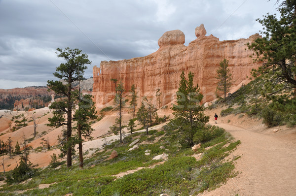 Path through Bryce Canyon Stock photo © gwhitton
