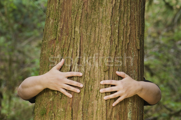 Person hugs a tree Stock photo © Habman_18