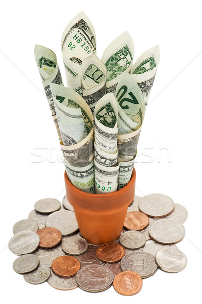 American cash and coins Stock photo © Habman_18