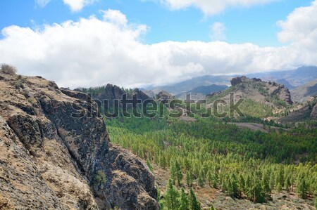 Gran Canaria mountain Stock photo © hamik