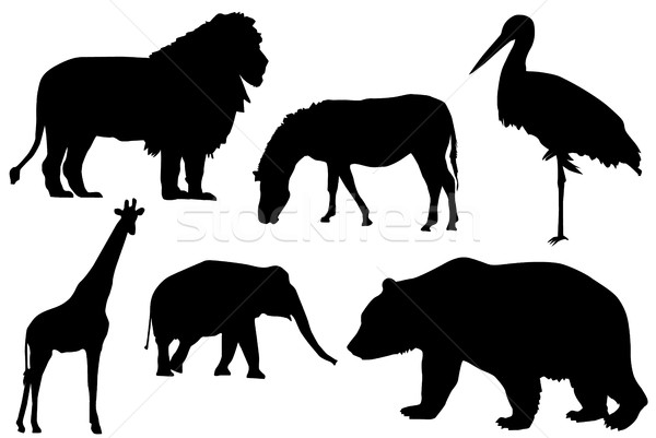 [[stock_photo]]: Silhouette · animaux · sauvages · détail · noir · nature · tigre