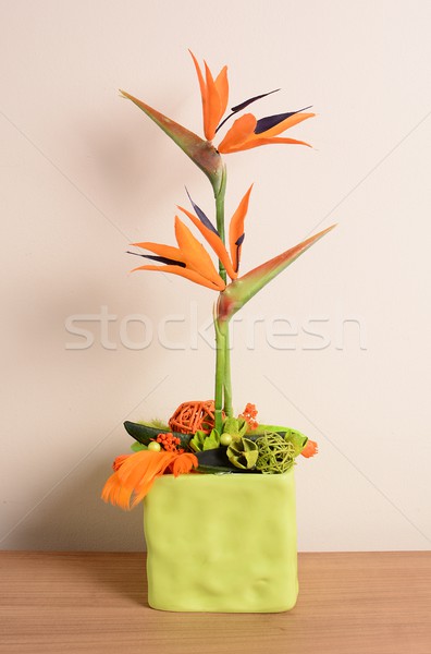 Maison décoration décoratif orange fleur [[stock_photo]] © hamik