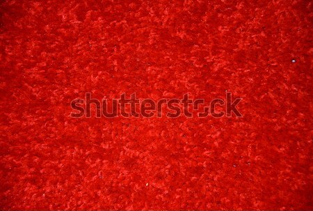 Vörös szőnyeg padló otthon háttér szoba ipari Stock fotó © hamik