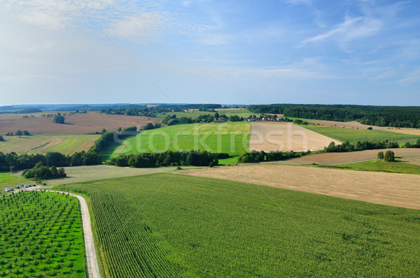 Summer landscape Stock photo © hamik