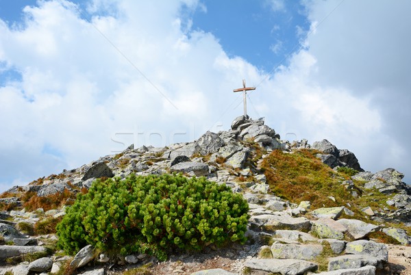 Wooden cross on peak Stock photo © hamik