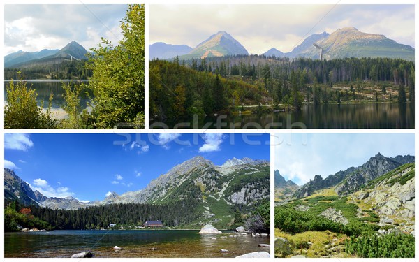 High Tatra mountains collage Stock photo © hamik