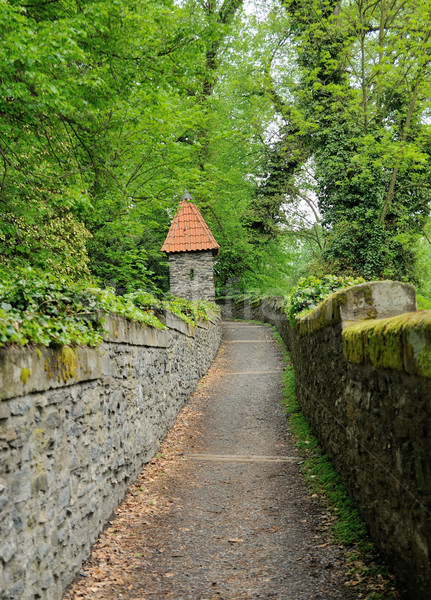 Foto stock: Caminho · jardim · velho · castelo · pedra · grande