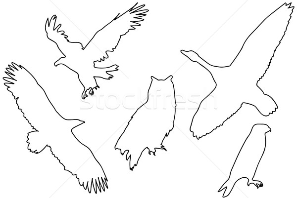 Black silhouettes of birds Stock photo © hamik