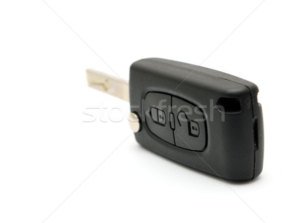 Remote key care Stock photo © hamik