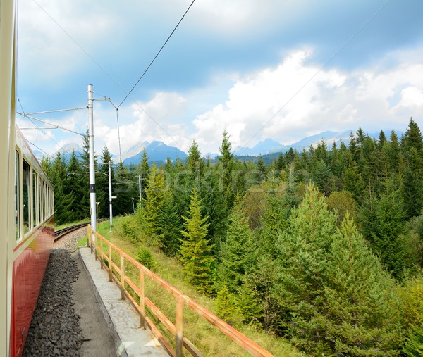 View from speeding train Stock photo © hamik