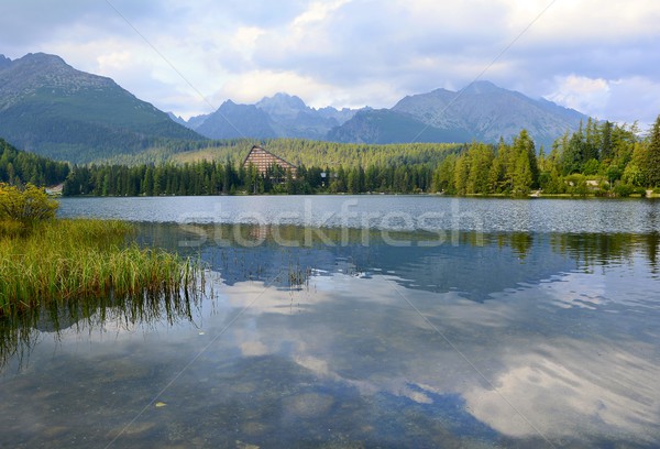 Strbske pleso lake Stock photo © hamik