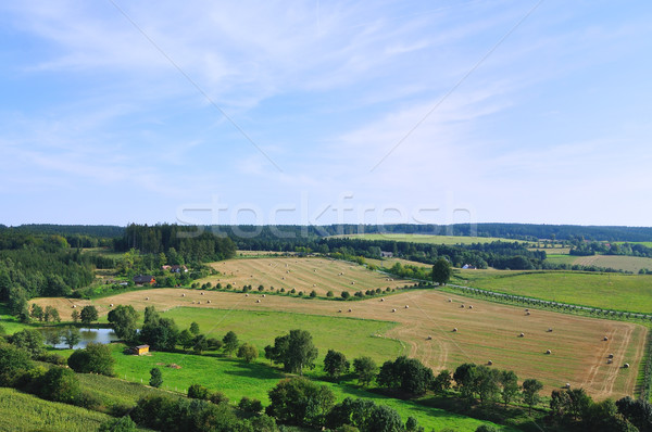 Summer landscpae Stock photo © hamik
