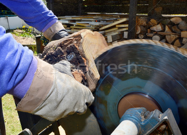 Cutting wood Stock photo © hamik