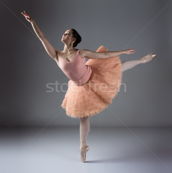 Vrouwelijke balletdanser mooie grijs ballerina Stockfoto © handmademedia