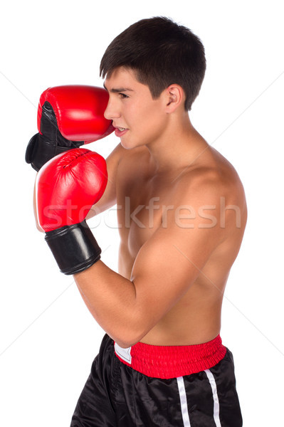 Young male kickboxer Stock photo © handmademedia