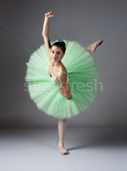 Vrouwelijke balletdanser mooie grijs ballerina Stockfoto © handmademedia