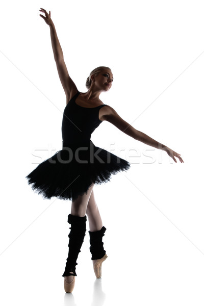 Female ballet dancer Stock photo © handmademedia